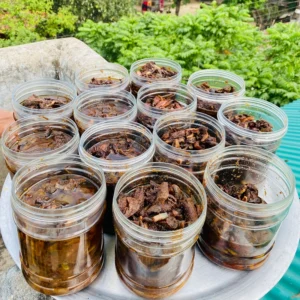 রোদে বানানো জলপাই রসুনের স্পেশাল আচার